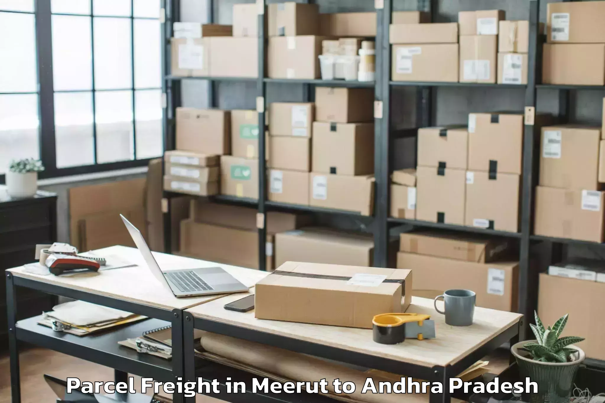 Professional Meerut to Nidamanur Parcel Freight